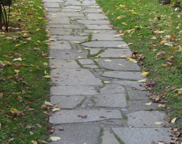 obrazki
